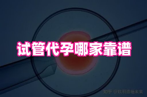 国际助孕网 4